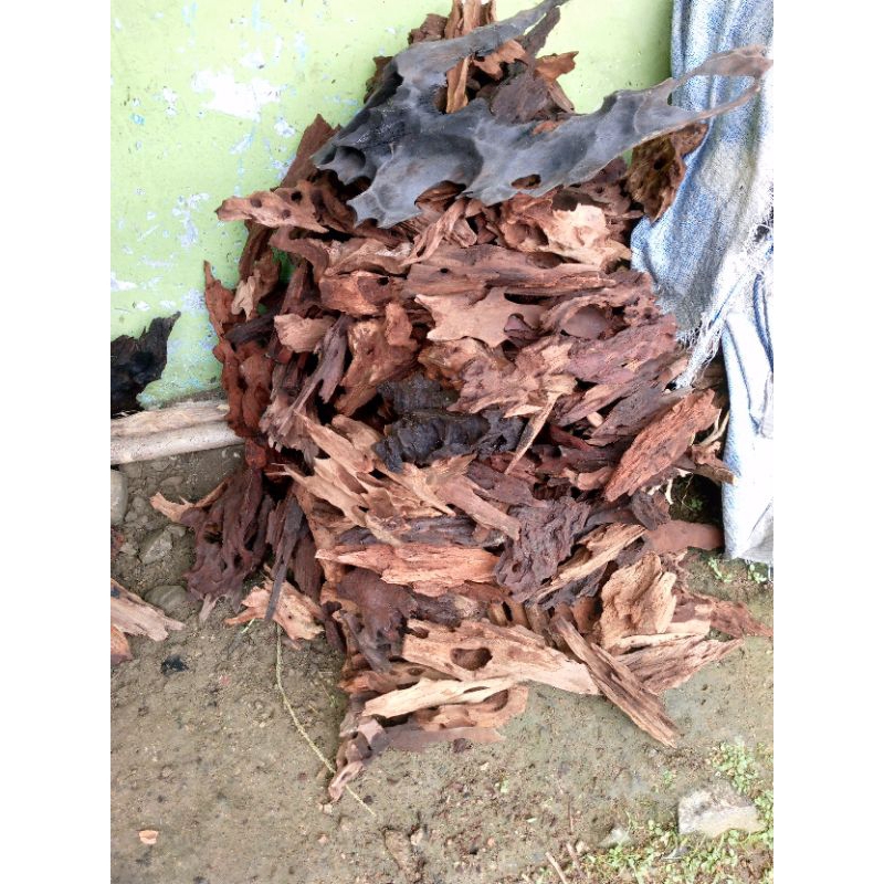 kayu aquascape tenggelam random