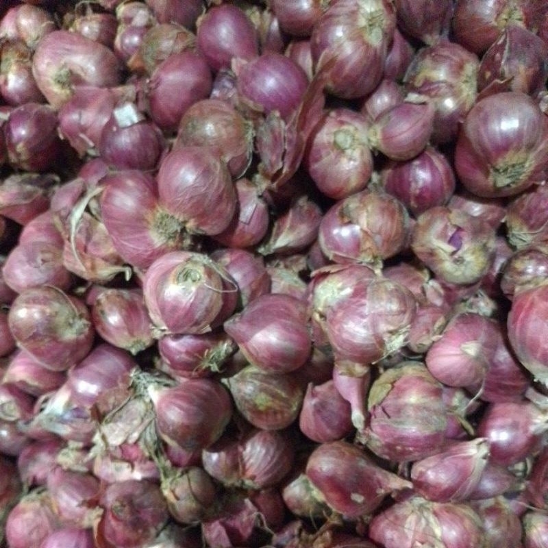 

Bawang merah bima 1 kg