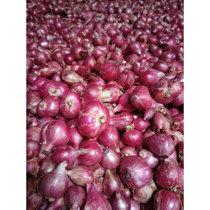 

Bawang Merah Super 250 gr