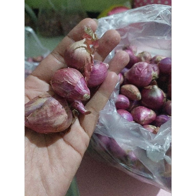 

bawang merah murah