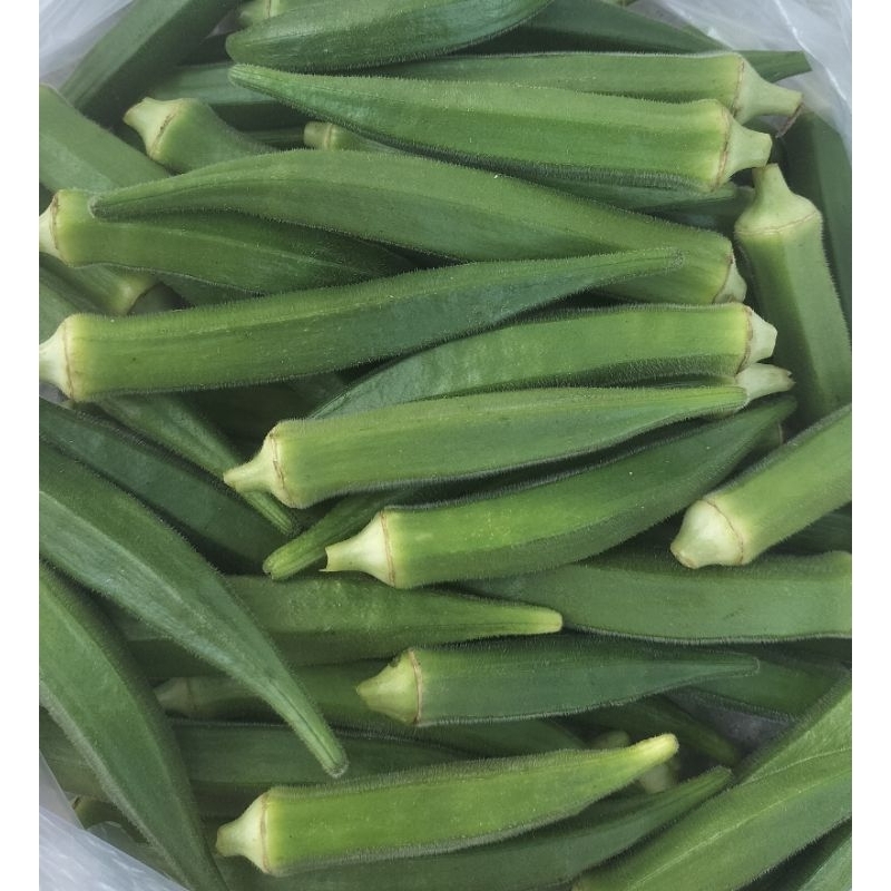 

( 500 gram )Okra Hijau sayur okra Hijau segar