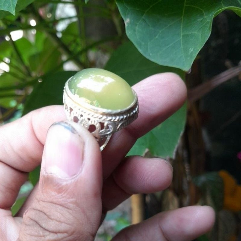 IDOCRASE BIO SOLAR ACEH