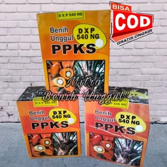 Benih Kecambah unggul DxP  ppks 540 Ng