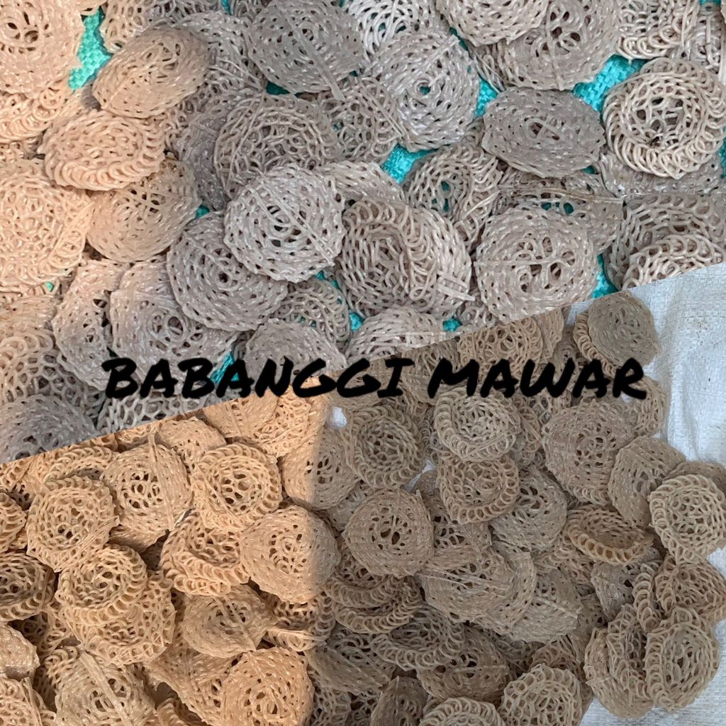 

KERUPUK MAWAR MENTAH SEBLAK RAFAEL BESAR/KECIL MURAH 5kg