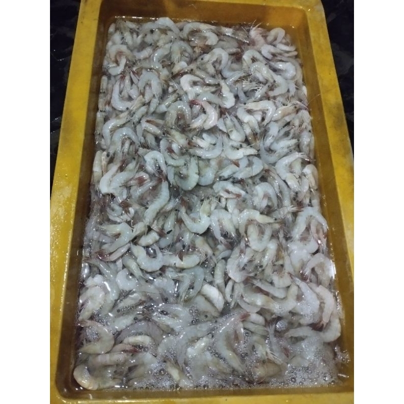UDANG PEYEK/ UDANG KECIL 1kg