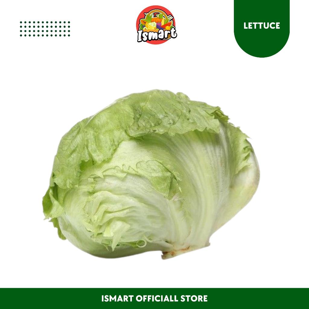 

ISMART| Lettuce Organik Lokal 1 KG (Best Offer)-Khusus Pengiriman Untuk JABODETABEK