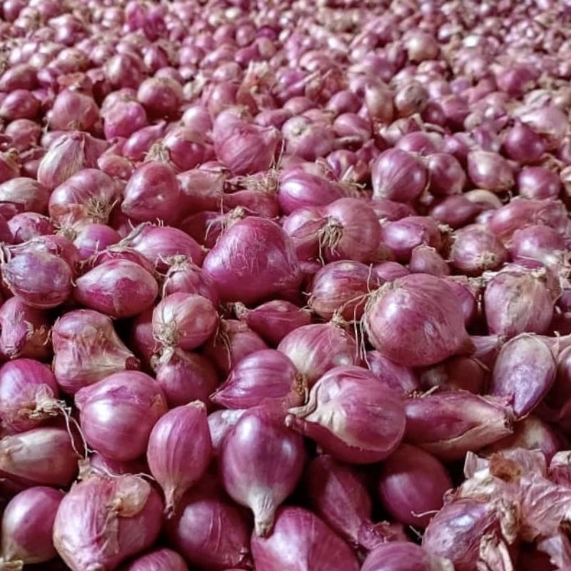 

BAWANG MERAH KERING KUALITAS TERBAIK 100% ASLI NGANJUK