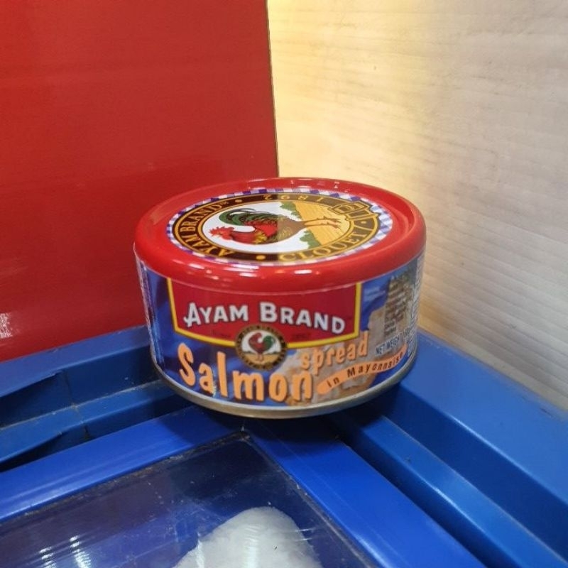 

Ayam Brand Salmon Spread dalam Mayones 160gr