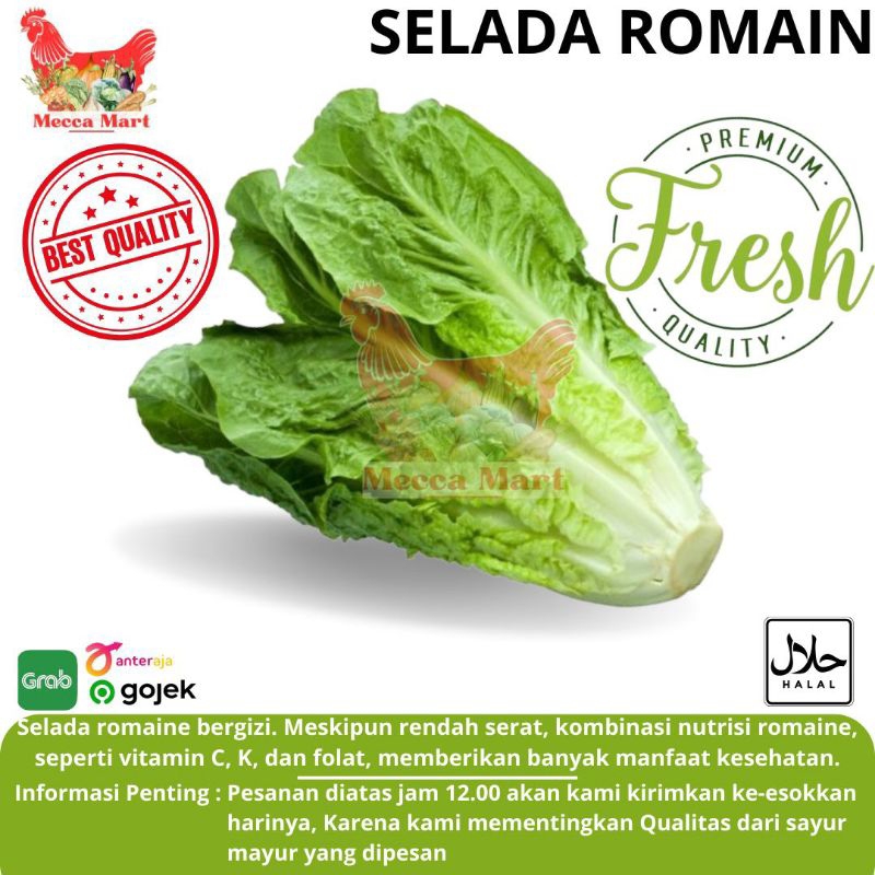 

SELADA ROMAIN FRESH - SAYURAN FRESH