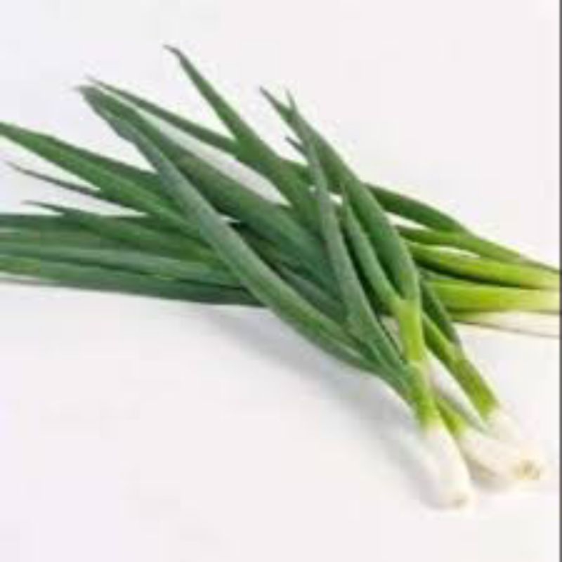 daun bawang 1kg