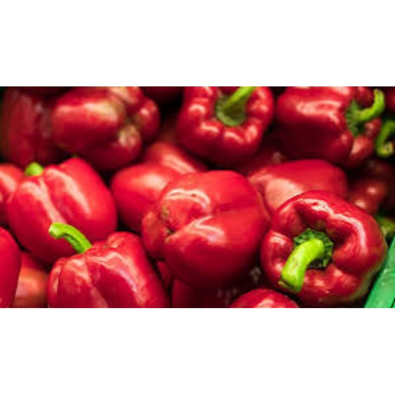 

paprika merah 500gram