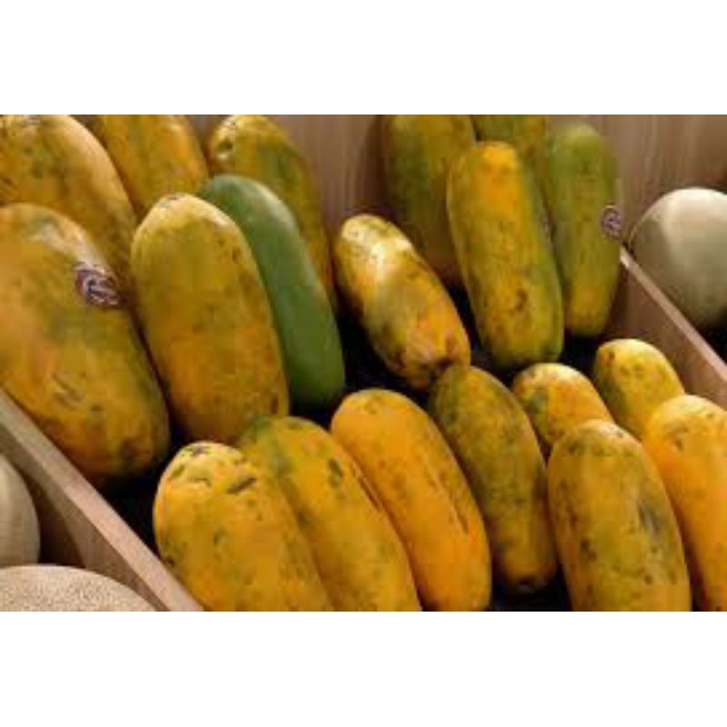 

buah pepaya 1kg-1.2kg