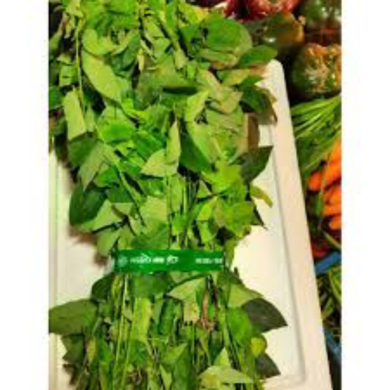 

daun katuk 500gram