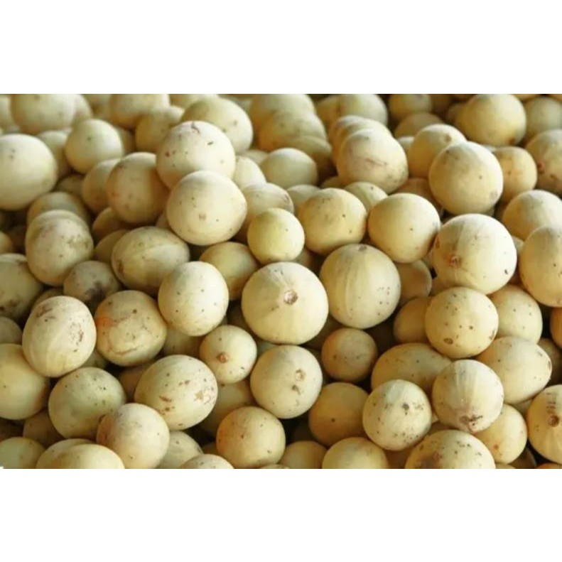 

Buah Segar Dukuh Palembang 1000 Gram