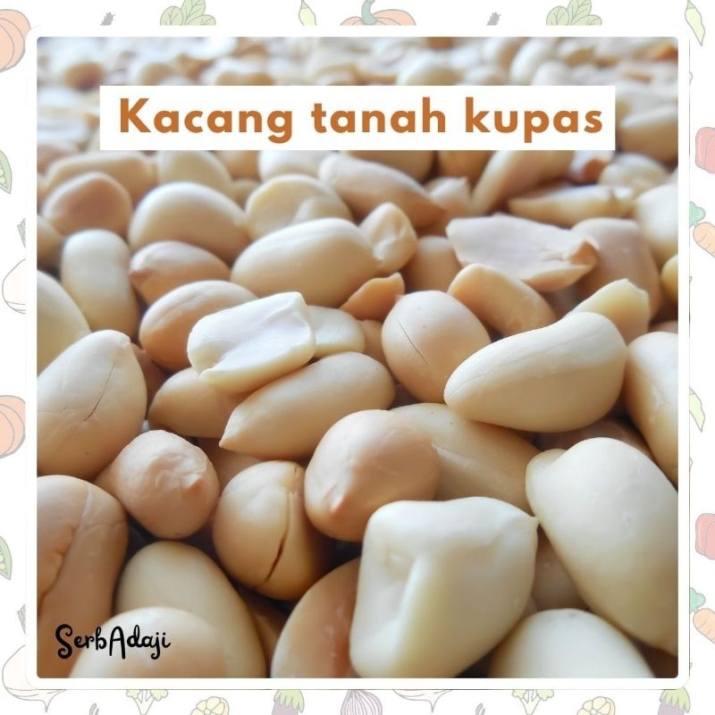 

Kacang tanah kupas mentah Besar Termurah 100% Asli Original