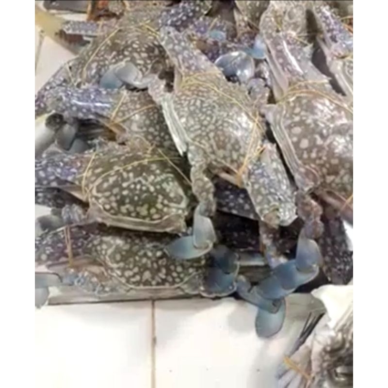 Rajungan Segar 1kg