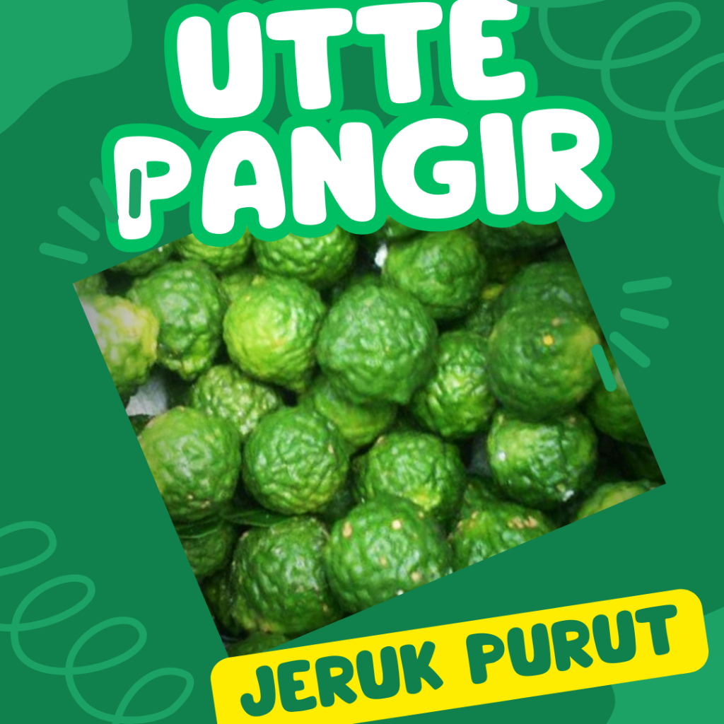 

Anggir Utte Mukkur/ Jeruk Purut /Utte Ute Unte Pangir Jeruk Sundai Per Biji