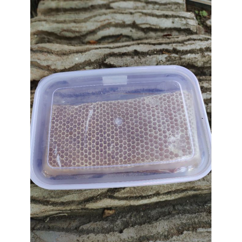 

Sarang Lebah Madu Asli berat 500gr lebih