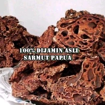 

sarang semut Papua 1 kg ( kering ) herbal asli original 100%