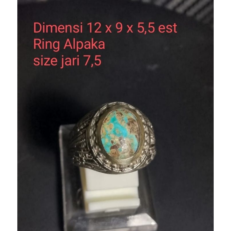 Pirus Persia Biru Tosca