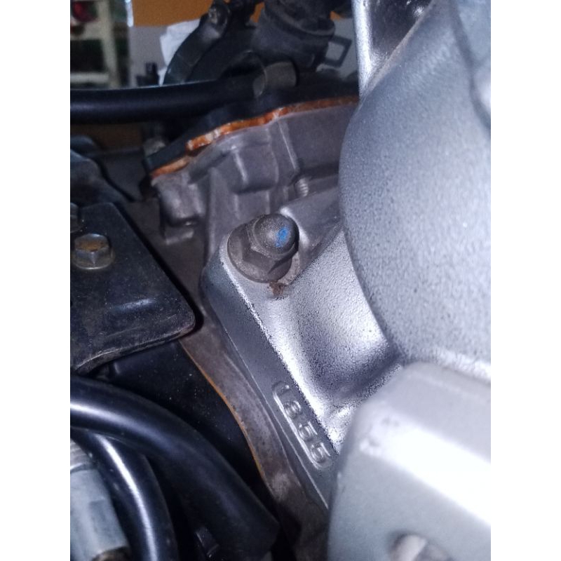 baut buring ninja original