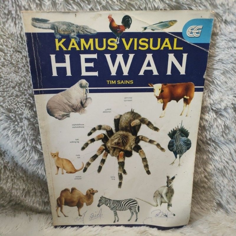 kamus visual hewan