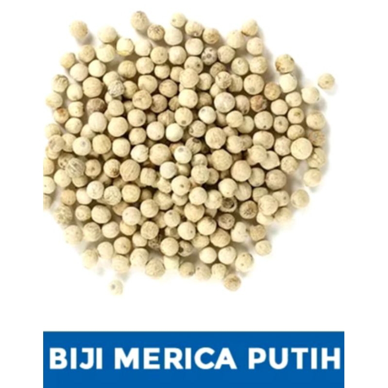 

merica biji super / merica lada putih butir