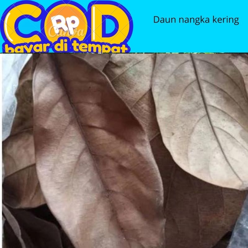 

daun nangka kering harga perlembar