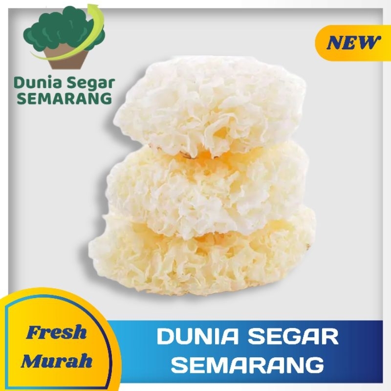 

Jamur Es Jamur Salju