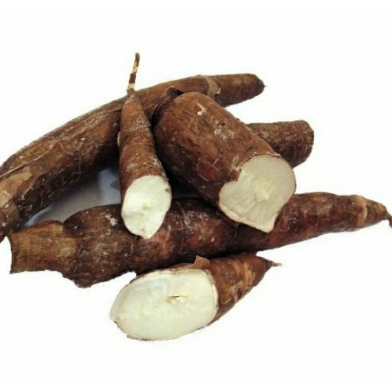 

SINGKONGMANALAGI1KG