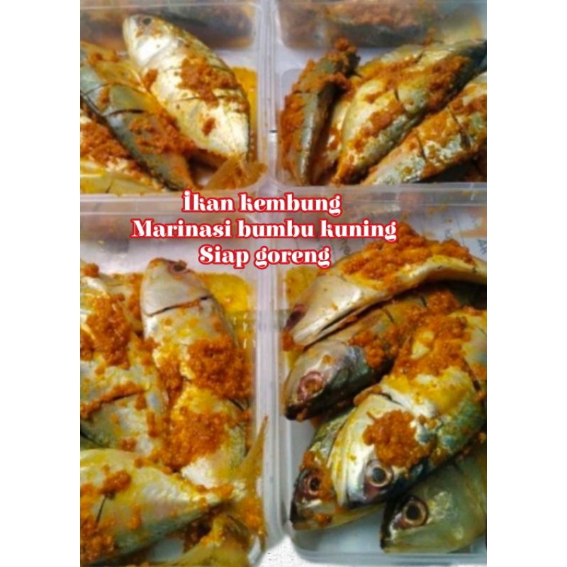 

ikan kembung marinasi bumbu kuning siap goreng frozen food halal homemade catering paket siap masak
