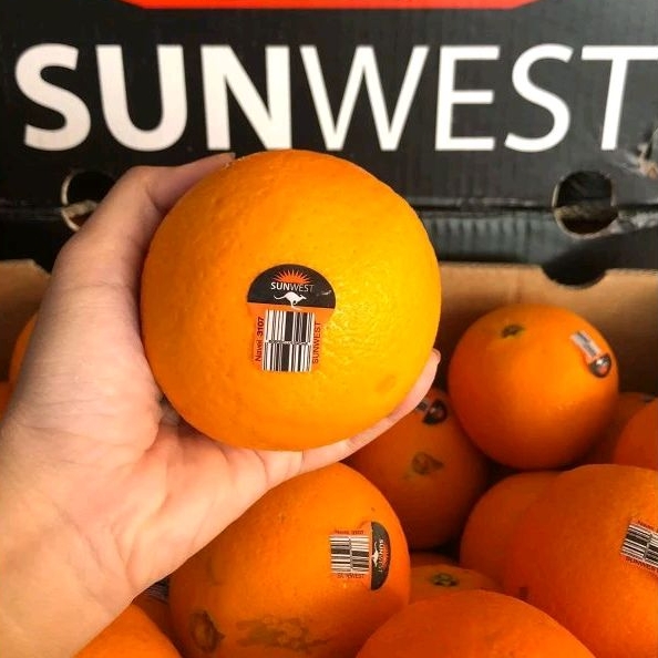 

Jeruk navel Australia sunwest black size 56 /kg