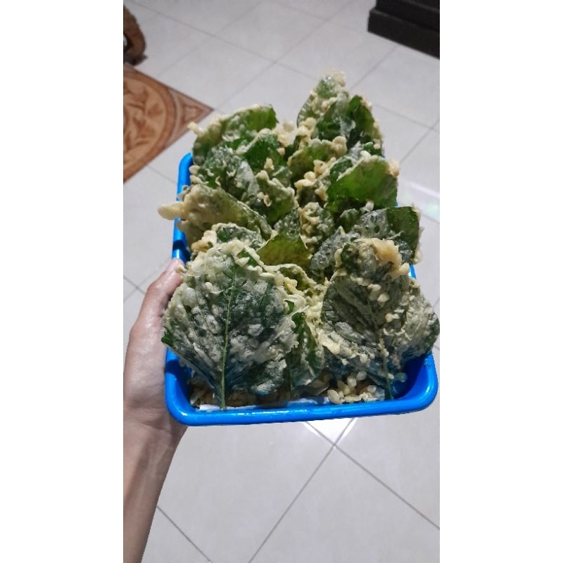 

kripik bayam krispii..