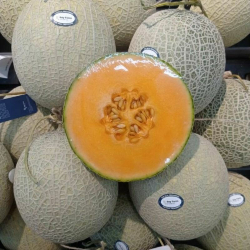 100 Benih Bibit Biji Melon ORANGE CROWN MUSK Japan, Premium import Hibrida Seeds, Super Manis
