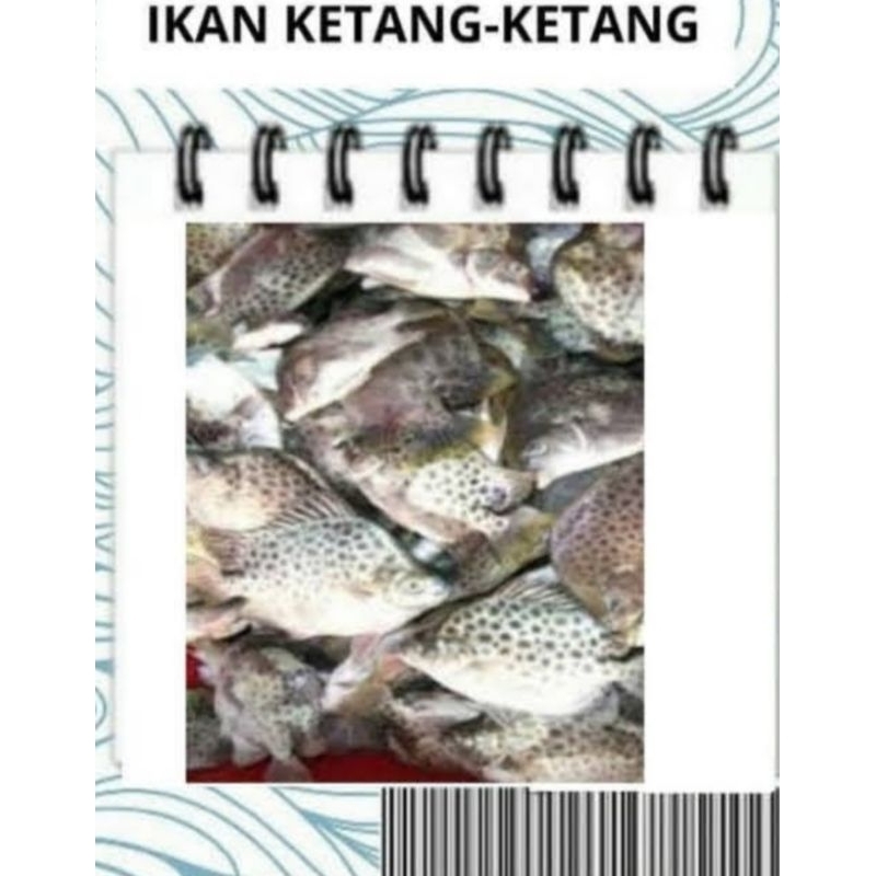 

Jual Ikan Laut/Ikan Segar/Ikan Ketang-Ketang/Ikan Kiper /Seafood-1kilogram