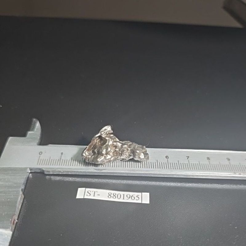 Campo del Cielo Iron Meteorite asli Gran Chaco Gualamba, Argentina