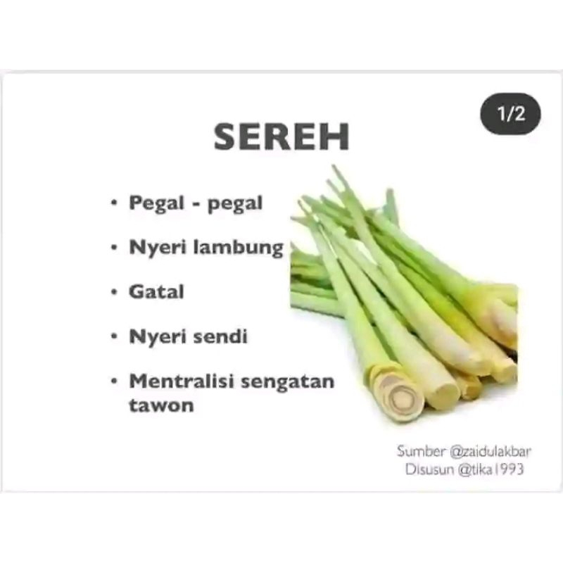 

Sereh Per ikat isi 10batang