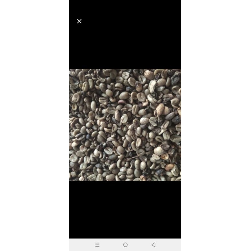 

greenbean arabica pixel