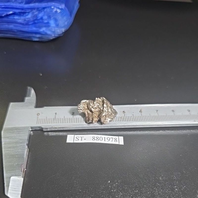 Campo del Cielo Iron Meteorite asli Gran Chaco Gualamba, Argentina