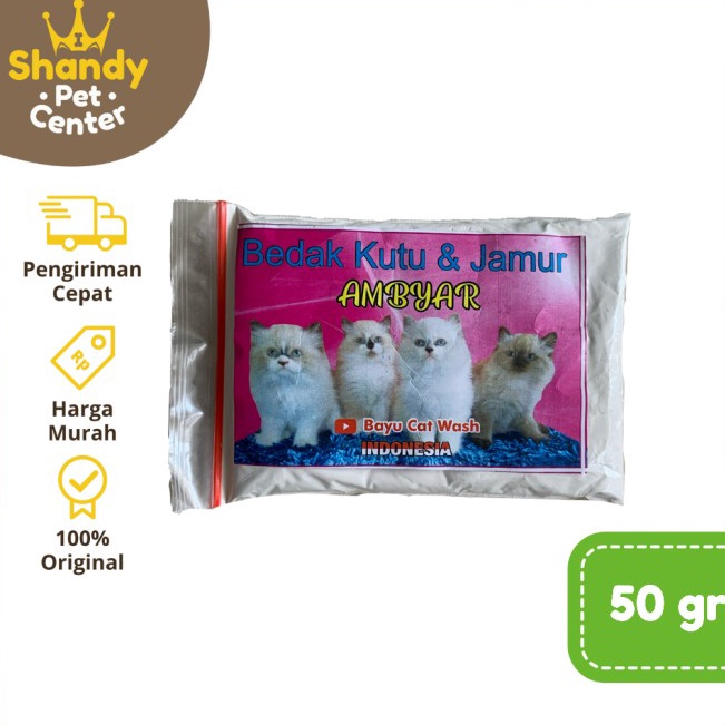 BEDAK KUTU KUCING AMBYAR