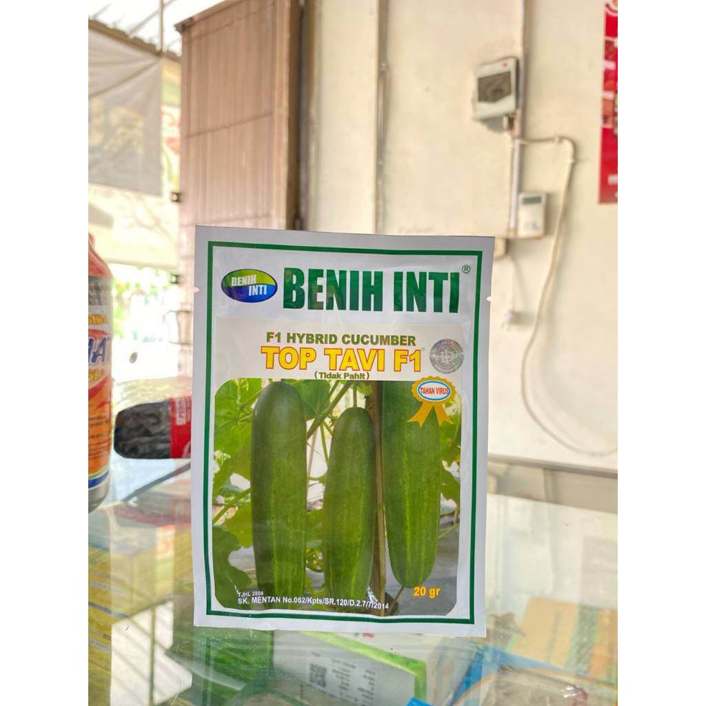 Benih Timun Top Tavi 20gr Benih Inti