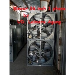 Kipas Blower / Box Fan 50 inch 3 phase