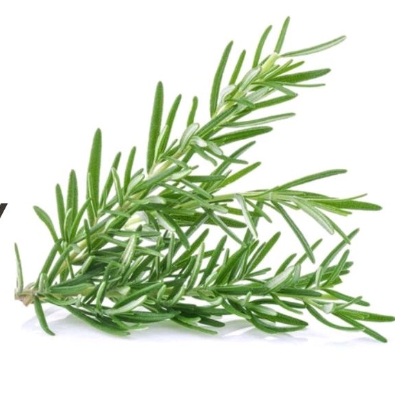 

Rosemary - 50gr