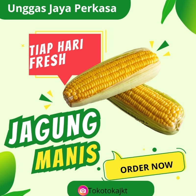

Jagung manis kualitas super