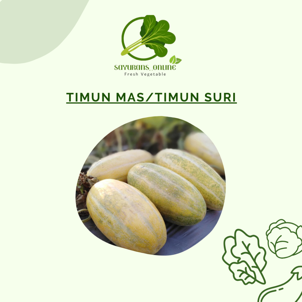 

buah timun mas / timun suri