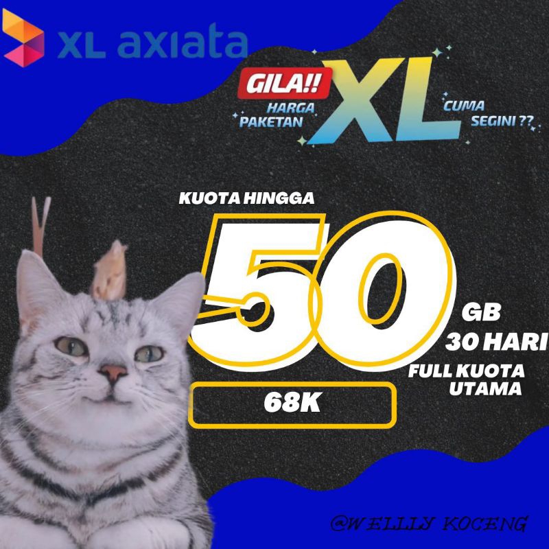 KUOTA AKRAB XL  50GB 30HARI