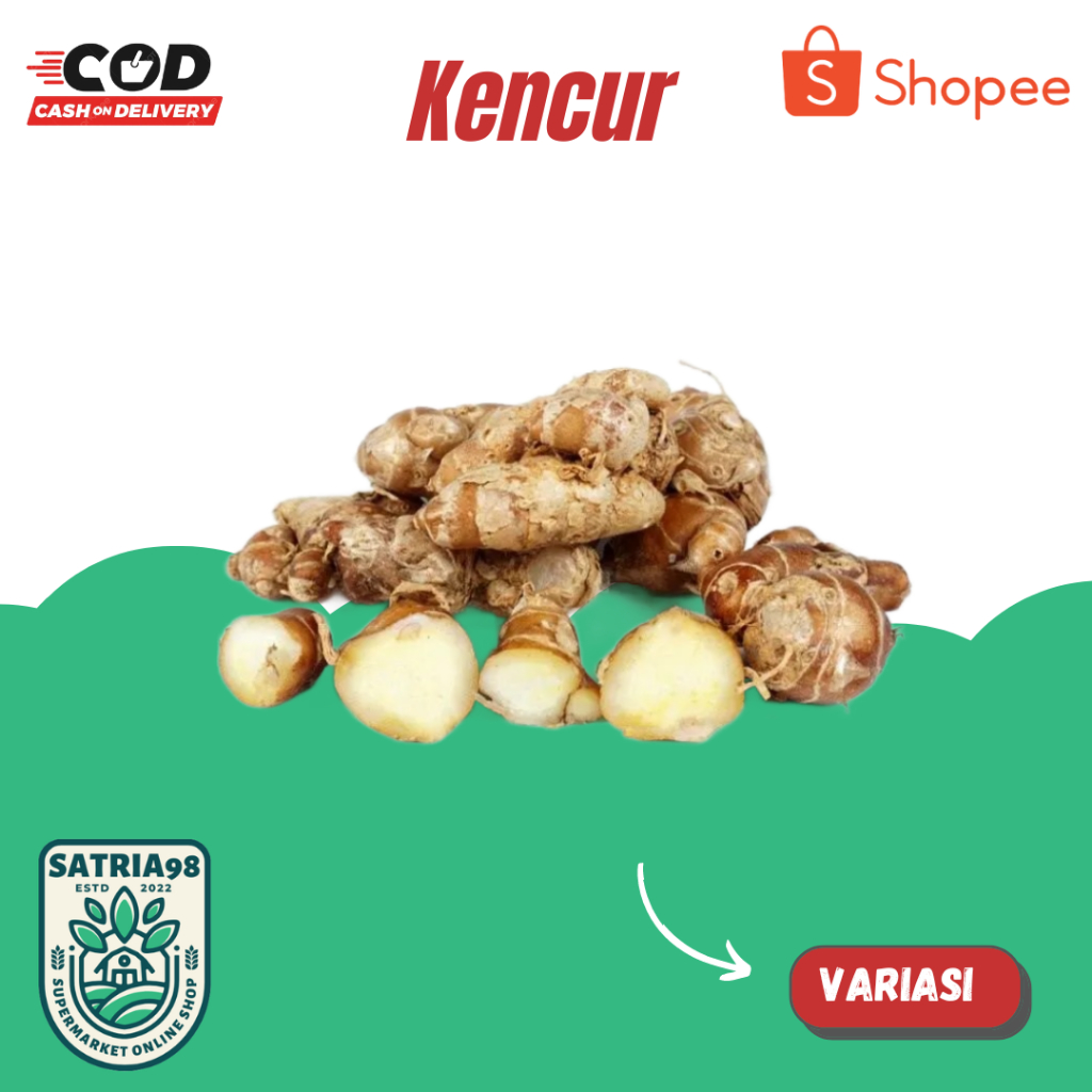 

Kencur organik murah langsung dari petani (COD)