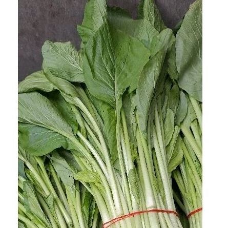 

sawi caisim batam segar