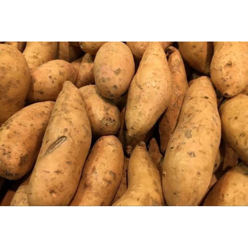 

BSM | TERMURAH Ubi Jalar Kuning Manis 500gr - 1kg / Ubi Jalar Kuning | Sayur online