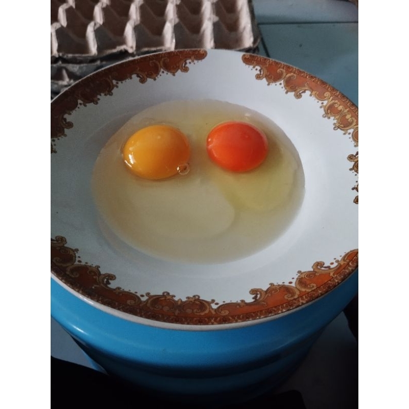 

telur ayam negri